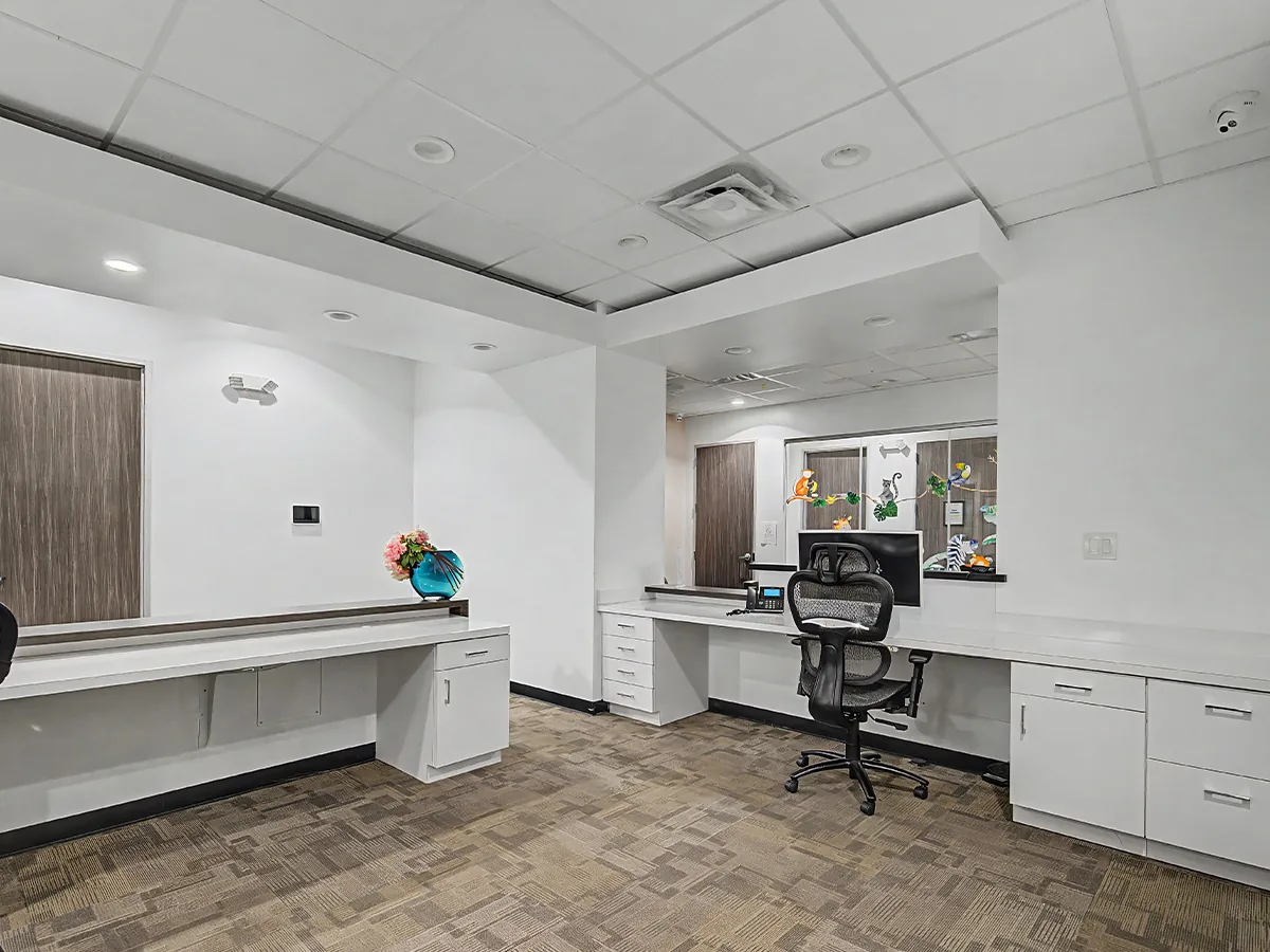 Inside Lava Dental in Houston, TX